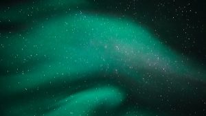 Beautiful aurora at the Elk Island National Park in Edmonton.